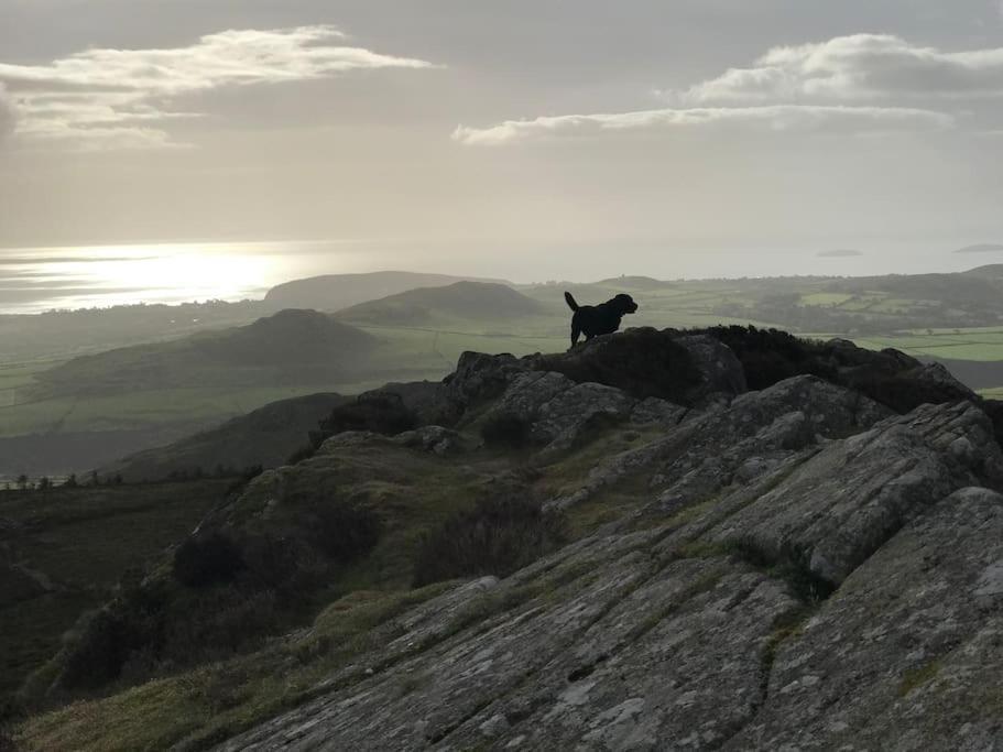 Gorffwysfa Cottage, Garnfadryn, Nr Abersoch Dinas  エクステリア 写真